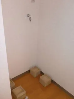 第38シンエイビル【1階】の内装