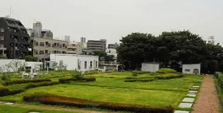 ステージグランデ上落合【1階】の周辺