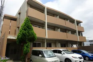 フォルツァの画像