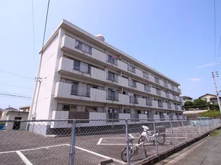 サングレイス篠崎の画像