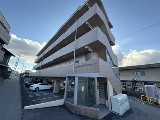 スプリングマンションの画像