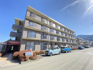 ヴィーナスの画像