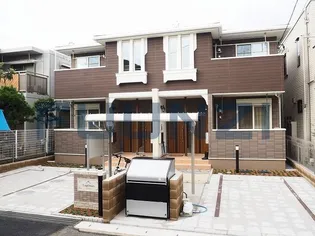 ルピナスの画像