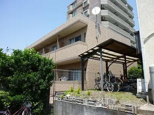 フランネルの画像