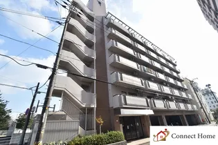 ハイツセイコー壱番館【7階】の外観