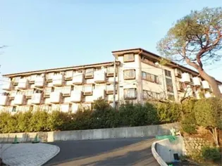 第一STM日野の画像