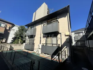 レッドロビンホシナの画像