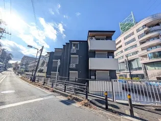 D PAINA 星川の画像