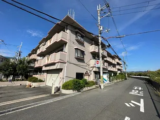 サンバリーアツカワカツの画像