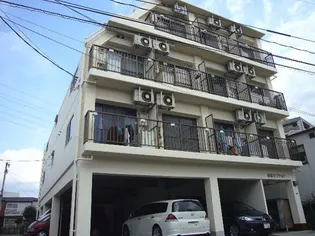 広島県広島市安佐南区西原2【マンション】の外観