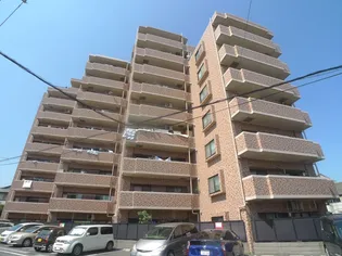 グリ-ンミユキ川口江戸【7階】の外観