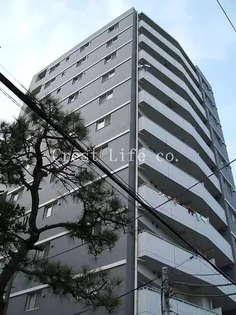 HF若松河田レジデンス【5階】の外観