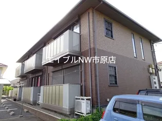 TETTI VERDI 1 2の画像