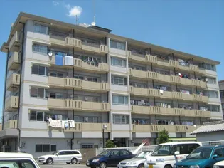 メゾン孝東【5階】の外観