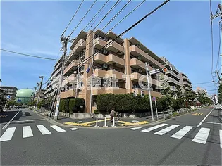 プルミエル千歳の画像