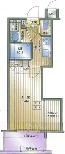 アクタス薬院大通り【6階】の間取り