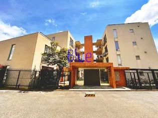 プラテリアの画像