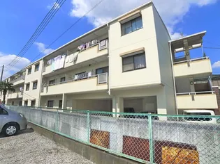 ラフィーヌ新井の画像