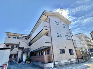 ゴールデンリバーの画像