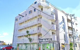 ブリッヂ金子の画像