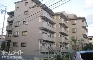 レジーナマルフクの画像