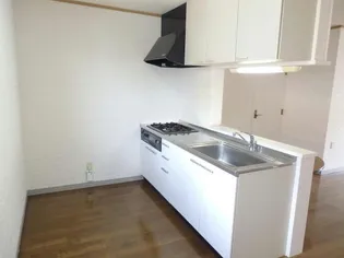 レジデンスコスモ【1階】のキッチン