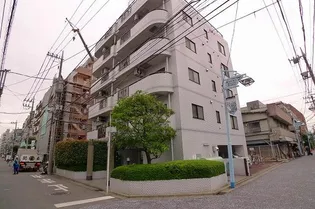 PRATIQUE SHINMARUKOの画像