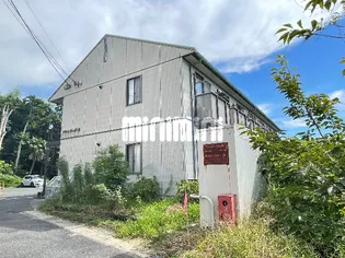 アドバンテージMの画像