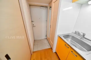 サヴォイザ・パームストリート【9階】の玄関