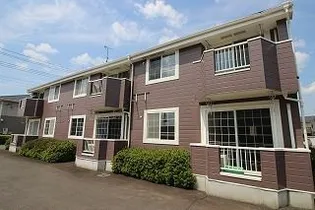 プラターヌの画像