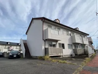 ヴィブレ シンの画像