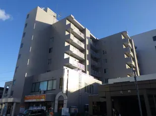 グローバリビル フラリッシュIIIの画像