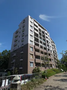 プロムナード仲町台9号棟の画像