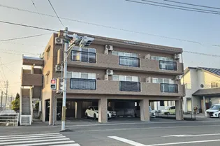 サングリーンの画像