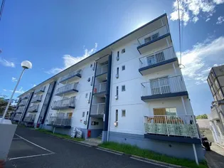 シャルムすみれの画像