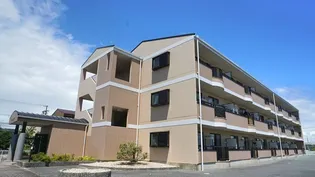 プレミールレイの画像