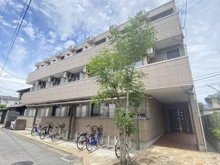 ラ マイレ マルーンの画像