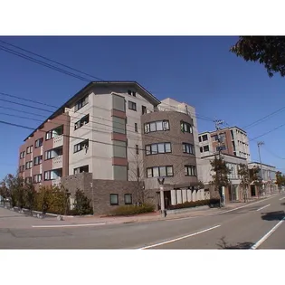 エーデルワイスの画像