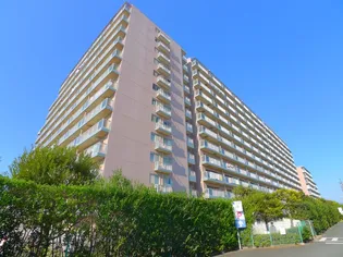 白井ロジュマンの画像