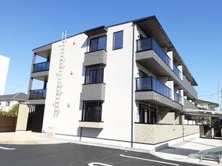 カメリア ORの画像