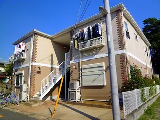 リリックコートスカイIIの画像