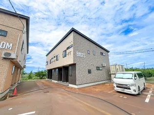 バージュの画像