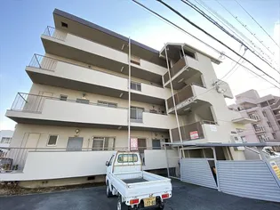 大阪府八尾市桜ヶ丘1【マンション】の外観