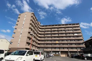 コンフォート太陽の画像