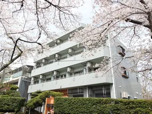 パークメゾンきもと【3階】の外観