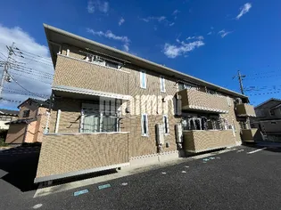 メイプルの画像