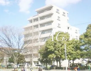 グッド フラットIIIの画像