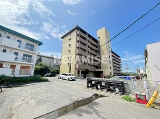 サルヴァトーレ平瀬の画像