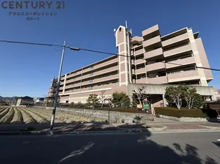 エル パラシオの画像