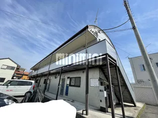 ラベンダーIIの画像